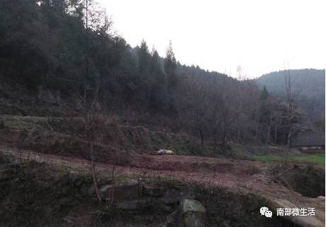 農(nóng)村小伙自建一層小別墅過程全直播，自建房的可以看看哦