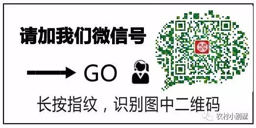15.6x9.5米帶獨(dú)立車庫農(nóng)村三層小洋樓設(shè)計(jì)圖，推薦爆款