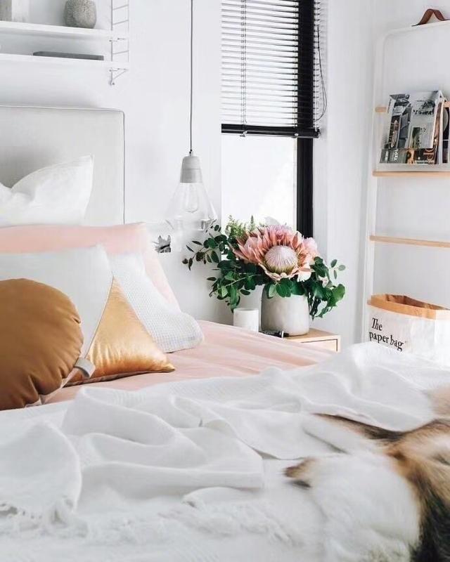 當(dāng)下流行的Ins風(fēng)裝修風(fēng)格，簡(jiǎn)潔、童趣、復(fù)古，你不打算裝修這樣的嗎？