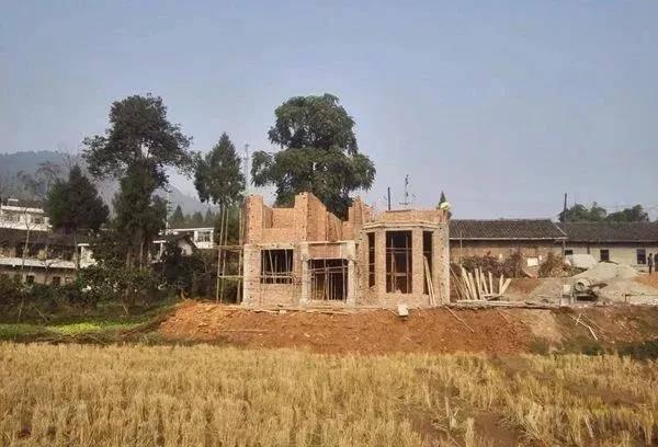 如此美觀的二層別墅設(shè)計圖，不建一棟是在太可惜了