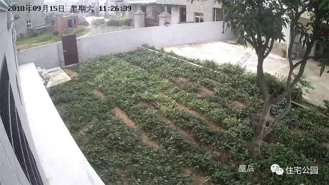 在國外定居不如回家蓋別墅，自建房您的理想首選