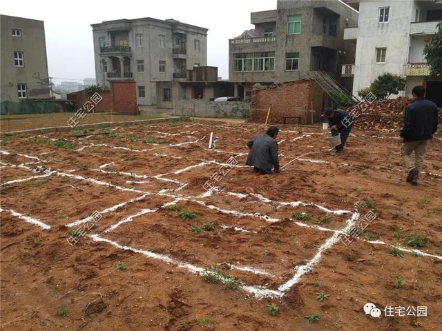 在國外定居不如回家蓋別墅，自建房您的理想首選