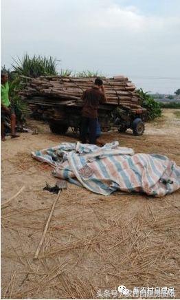 農(nóng)村二層別墅自建房，簡單實(shí)用，只要10萬就能建成，很適合農(nóng)村自建！