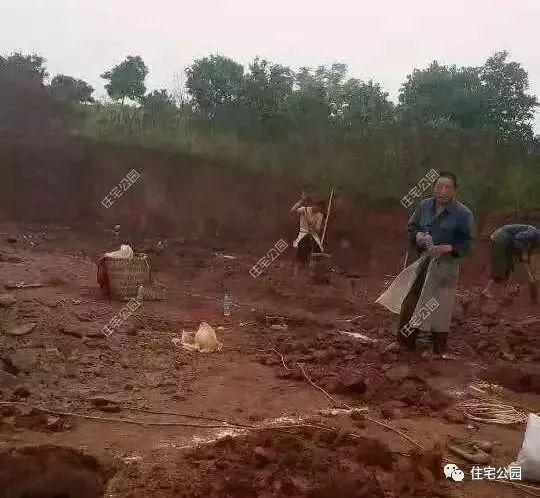 重慶農(nóng)村自建房實(shí)拍照片，75萬蓋起的3層養(yǎng)老別墅，布局沒得挑！