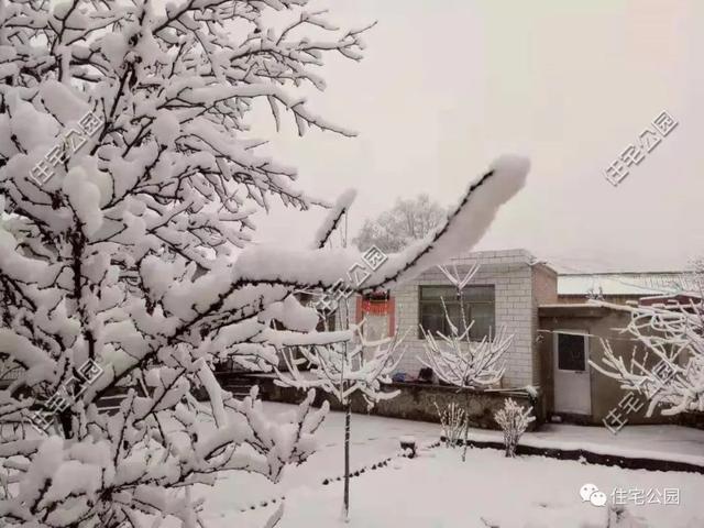 農(nóng)村小伙自畫(huà)結(jié)構(gòu)圖，不到20萬(wàn)建成兩層小別墅，怎么做到的？