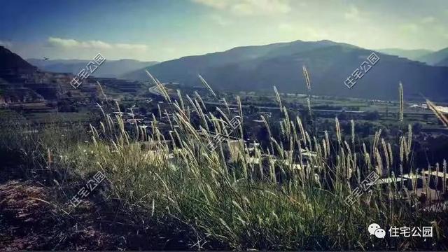 農(nóng)村小伙自畫(huà)結(jié)構(gòu)圖，不到20萬(wàn)建成兩層小別墅，怎么做到的？