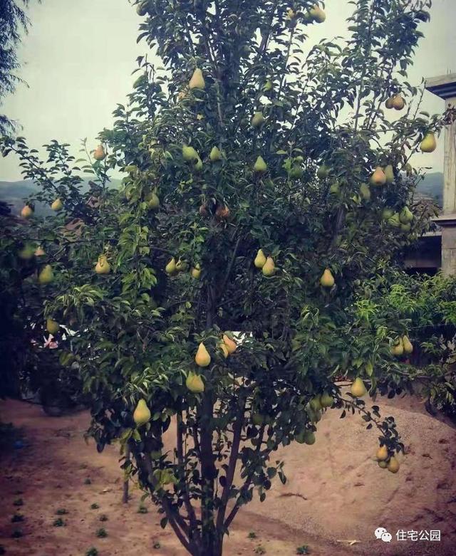 農(nóng)村小伙自畫(huà)結(jié)構(gòu)圖，不到20萬(wàn)建成兩層小別墅，怎么做到的？