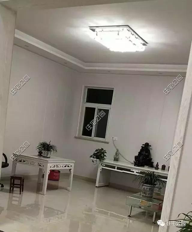 江蘇農(nóng)村花了50萬建成的平房別墅，這樣光伏發(fā)電的屋面見過么