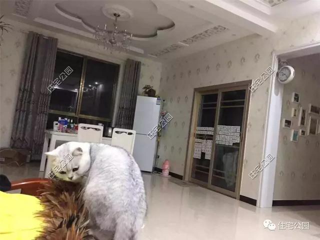 趁熱鬧來曬曬我的新房子，帶大院的兩層小洋樓，27萬蓋好美滋滋