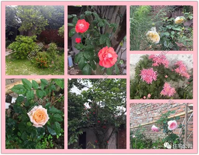 趁熱鬧來曬曬我的新房子，帶大院的兩層小洋樓，27萬蓋好美滋滋