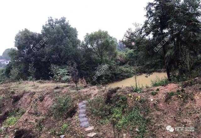 為了回老家工作的女兒，江西父母建三層別墅，小院裝修全做好120萬(wàn)