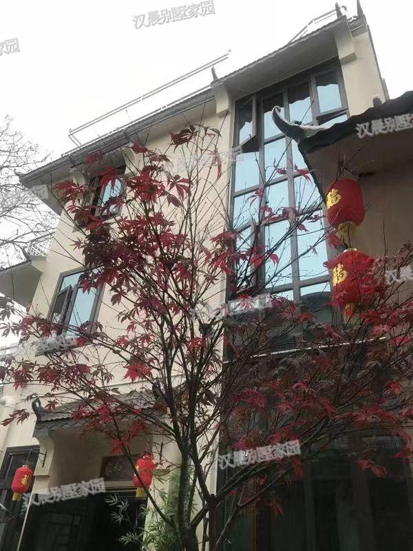 兩面鄰居開間只有8.8米，怎么建房？看看這套花50萬建成的中式別墅！