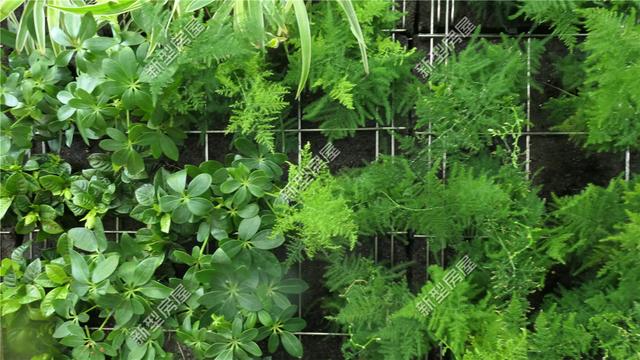 想修建輕鋼別墅？先搞清楚構(gòu)建、樓板、外墻和取暖這4個問題！