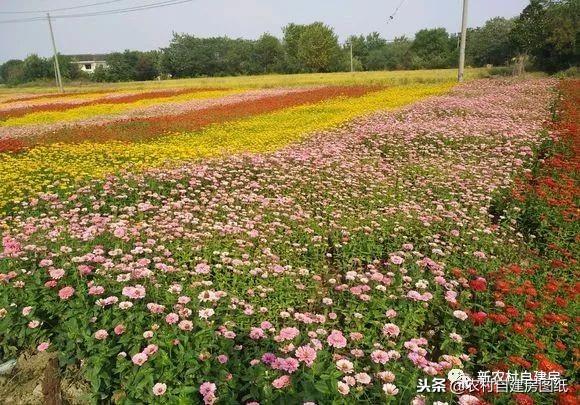 江蘇小伙回農(nóng)村自建別墅，包工包料每瓶1200，村里還有花海、草坪！