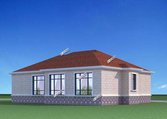 給父母蓋棟一層小院別墅，20萬(wàn)就能享受花園小洋房生活。