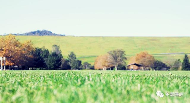 雙拼別墅設(shè)計(jì)圖，家里兄弟姐妹多，實(shí)用大氣還有檔次！