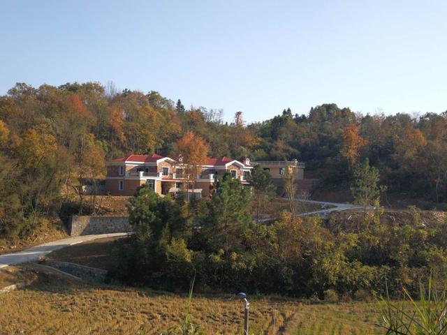 兩兄弟建雙排別墅設計圖，鄰居看了都羨慕。