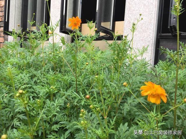 50萬農村自建二層小樓，超值，還帶裝修