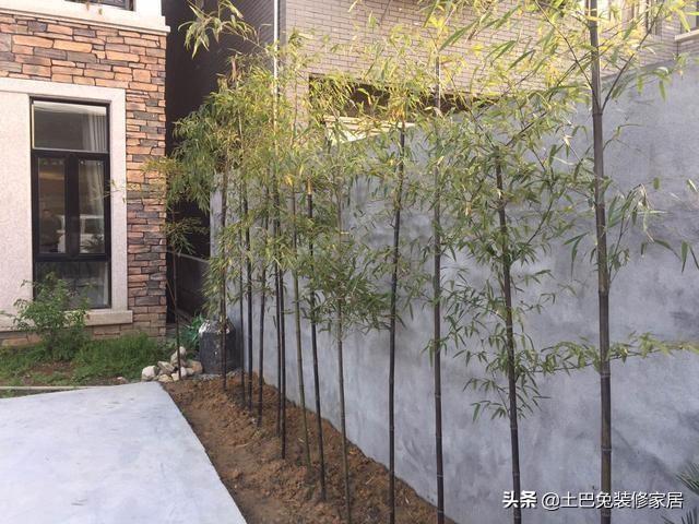 50萬農村自建二層小樓，超值，還帶裝修