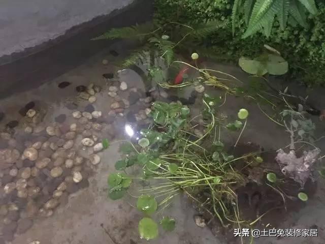 50萬農村自建二層小樓，超值，還帶裝修