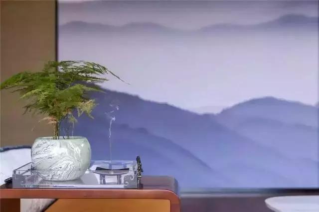 1000平新中式獨(dú)棟別墅實(shí)拍，前后都有庭院，千萬(wàn)身價(jià)才敢建