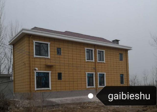 36萬河南建二層小別墅戶型圖附完工實拍圖，造型好看