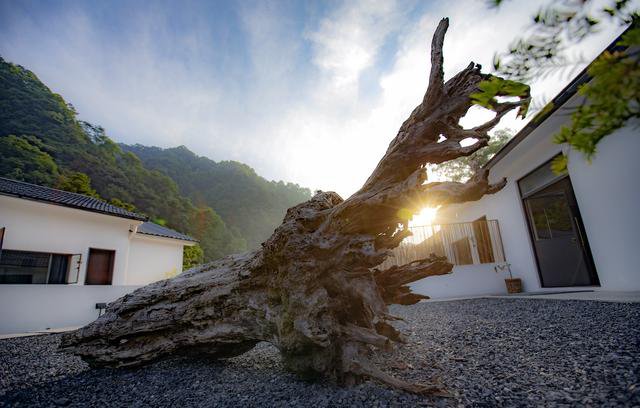 不容錯過的民宿實景圖，聯(lián)排式小別墅樣式