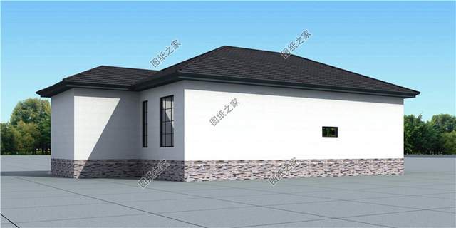 超大平多風(fēng)格一層別墅設(shè)計圖紙，真是有派又有面