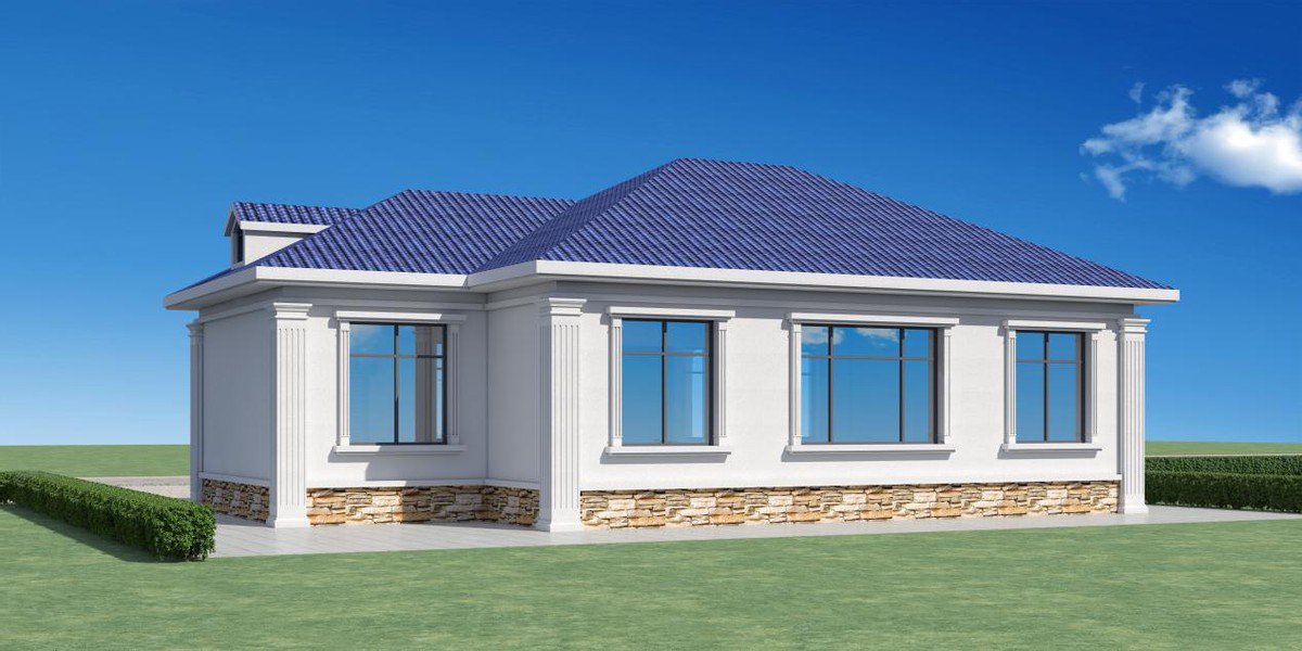 華麗歐式風(fēng)是當(dāng)下農(nóng)村建房的主流，更多人建房的選擇